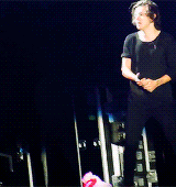 blamestyles:  Harry Styles 'Hair Porn' - South America (WWA Tour) 