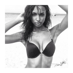 JASMINE TOOKES APPRECIATION