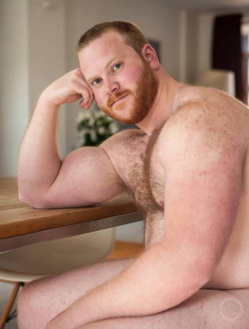 fhabhotdamncobs: thickbear475: dutchbear74: I just love ginger bears #gingerbear RED~! W♂♂F     (