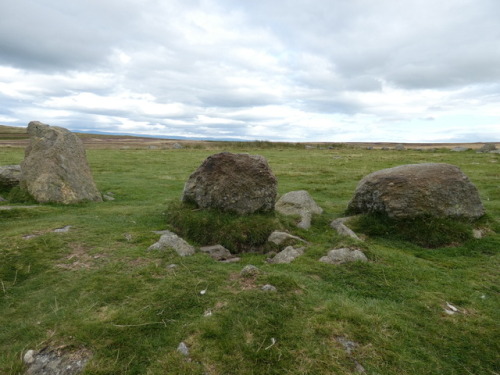 ‘The Cockpit’ Stone Circle, Moor Divock, Cumbria, 27.8.17. This large recumbent stone ci