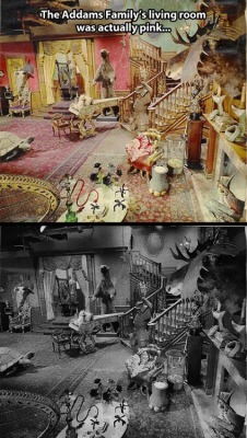 Mermaidunderthemoon:  The Reason Why The Room Was Pink Was Because On Black And White