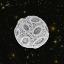 a-pandemonium-of-space-pirates