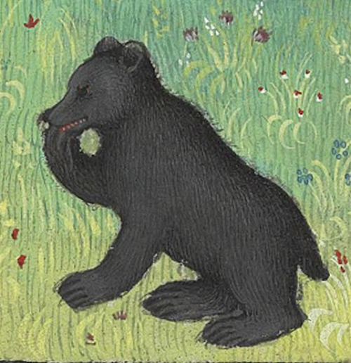 discardingimages:bear clubGaston Phébus, Livre de la chasse, Paris 15th centuryBnF, Français 616, fo