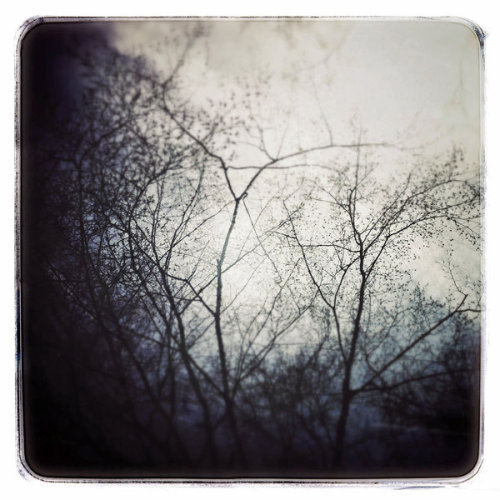yama-bato:  Something in the air by KizukiTamura 