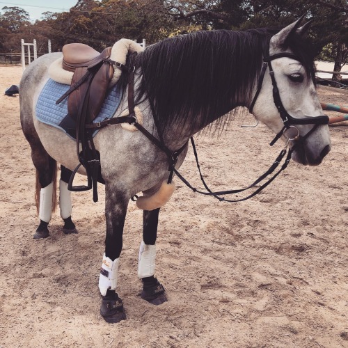 Birdy rocking her boink kit &lt;3