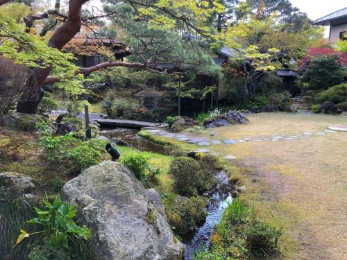 ＼おにわさん更新情報／ ‪[ 京都市左京区 ] 南禅寺 菊水庭園 Nanzenji Kikusui Restaurant Garden, Kyoto の写真・記事を更新。 ーー南禅寺参道の人気旅館・レ