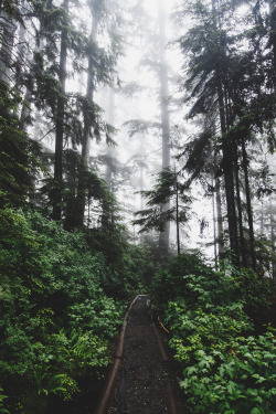 envyavenue:Northern Washington. / Jon Trend