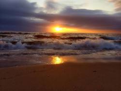 at At The Beach: Playa Del Rey