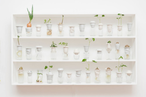 takeovertime:  Plantation | Alicja Patanowska