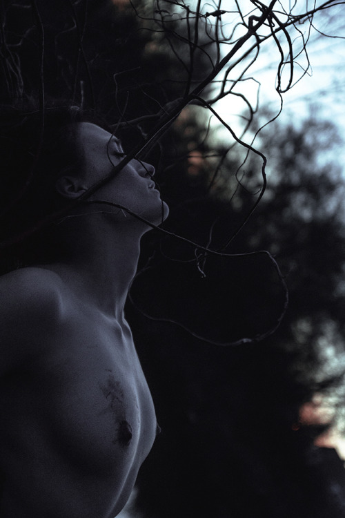 elenahelfrecht:  elenahelfrecht:  Arise.Model: Amaryllis FacebookWebsite   Today I reworked the colours a bit.