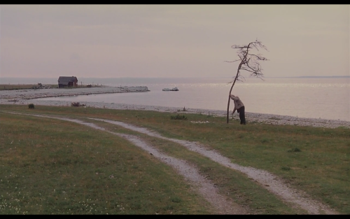 Umutlar bizimdir. -Kuru ağacı sulamak- Andrey Tarkovsky, Offret (1986) 