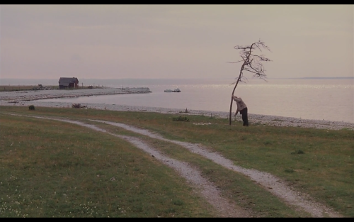 Umutlar bizimdir. -Kuru ağacı sulamak- Andrey Tarkovsky, Offret (1986)