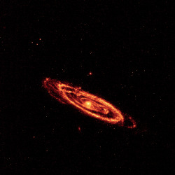 wonders-of-the-cosmos:Andromeda galaxy observed