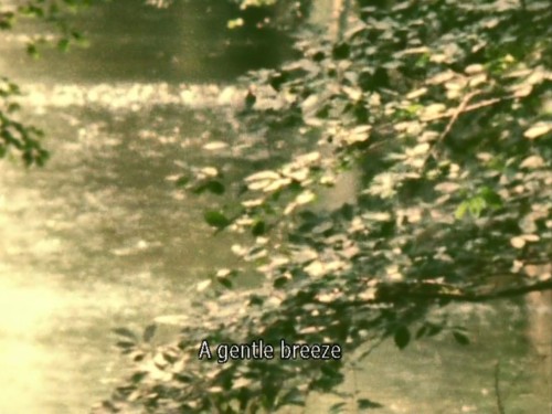 cryingoverfilmshots:Life can be so wonderful (2007), dir. Osamu Minorikawa