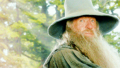 lady-arryn:I am Gandalf and Gandalf means me.  (requested by mihtrandir)
