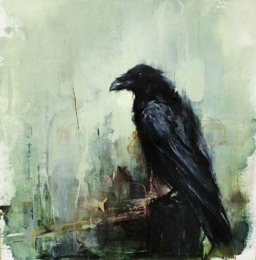 melodyandviolence: Ravens by lindsey kustusch