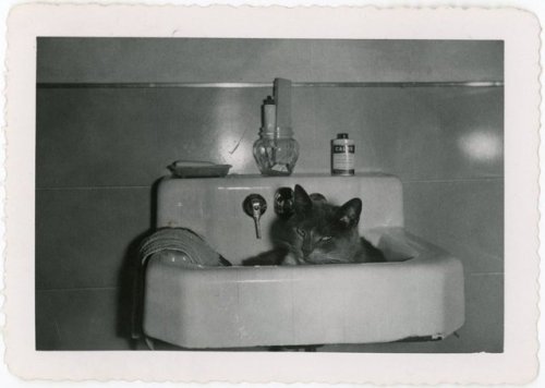 fifties-sixties-everyday-life: “The reason why we no longer can wash in the bathroom.“