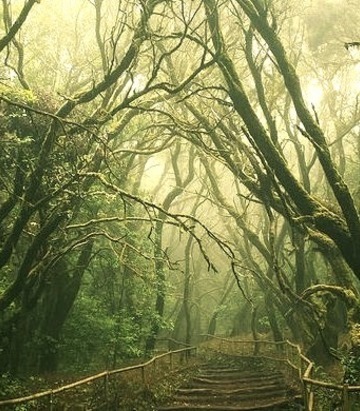 Mystical Path, La Gomera, Canary Islands