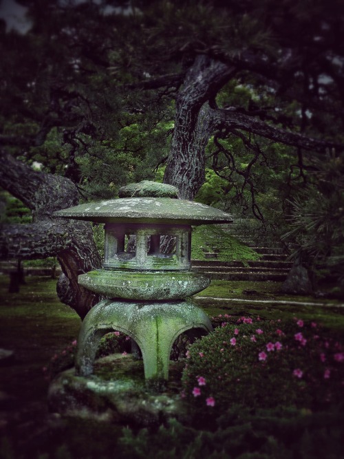Gardens at Nijo Castle, Kyoto, Japan