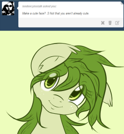 askflowertheplantponi:  Flower: There!  <3