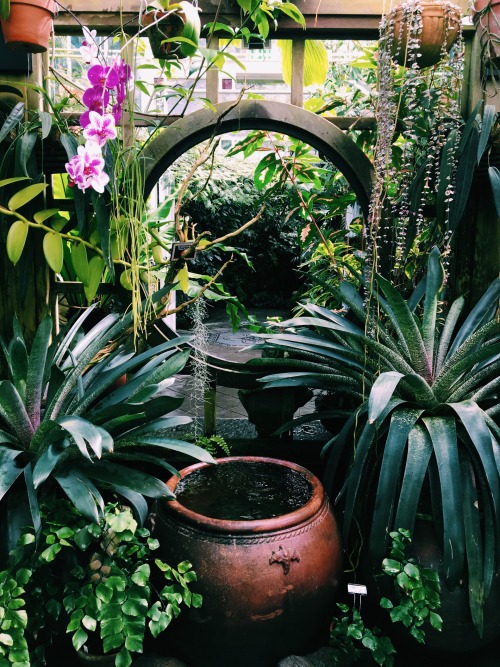 danascvllys:botanical gardens