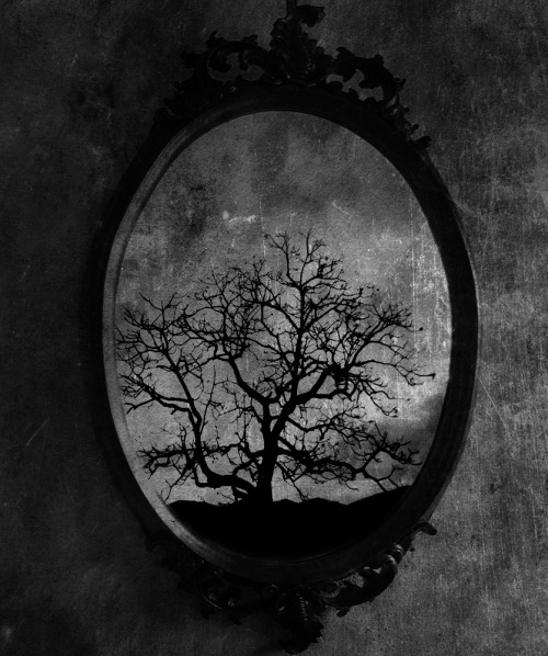 Old Mirror by Vickie666