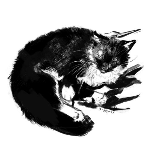 forestbeasty:Studies