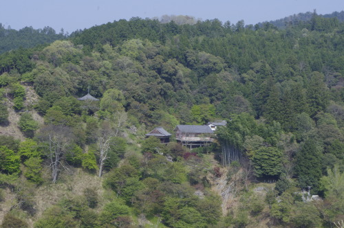 如意輪寺（Nyoirinji Temple : Yoshino/Nara） 山の峰越しに見える如意輪寺。 近くに見えても、間には深い谷を挟む。 修行を重ねた修験者なら、谷と谷をこともなく渡って行き来し