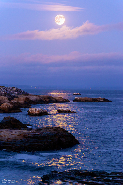 Porn photo sitoutside:   Super Moon 2014 - Santa Cruz,