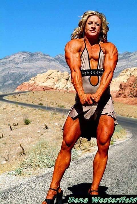 loveoffemalemuscle:  Dena Westerfield  So beautiful and strong!!! ;) ☆☆☆