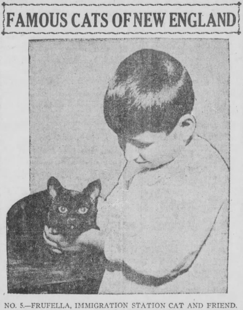 yesterdaysprint:Boston Post, Massachusetts, December 10, 1920
