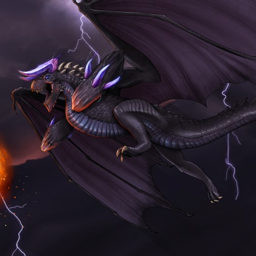 space-dragon14