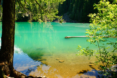 Goat Lake by Elaine Chen