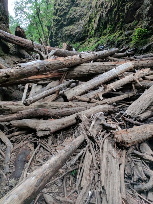 I finally made it to Oneonta Gorge