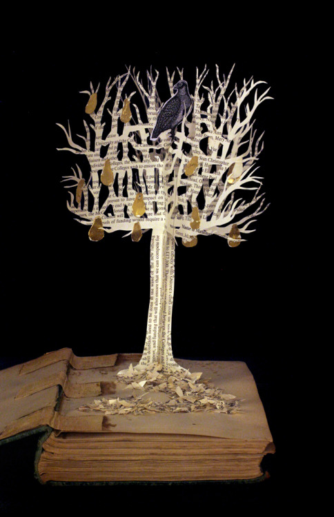 A Partridge in a Pear Tree book sculpture. From the twelve days of Christmas series. www.daysfalllik