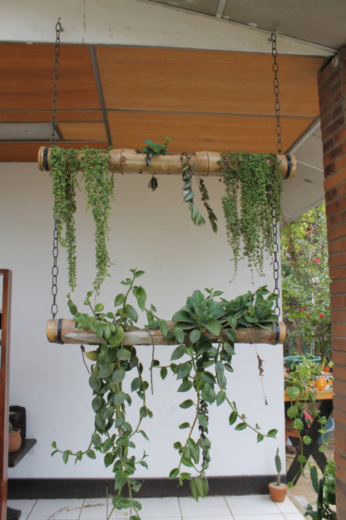 etsygold:Hanging bamboo planter(more information, more etsy gold)