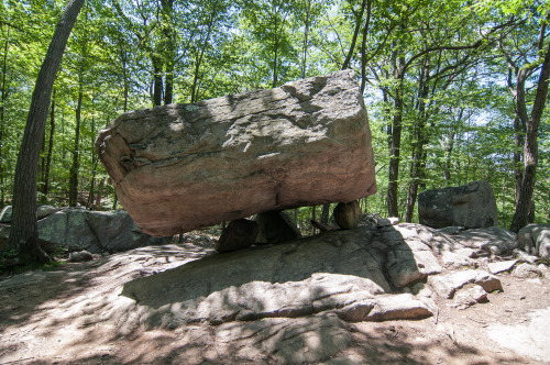 I was lucky enough to have three solid hiking adventures this weekend: Six Mile Run, Ramapo Mountain