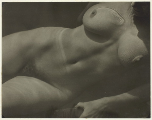 realityayslum:  Alfred Stieglitz - Rebecca porn pictures