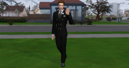 ROYAL WAVING POSEPACK