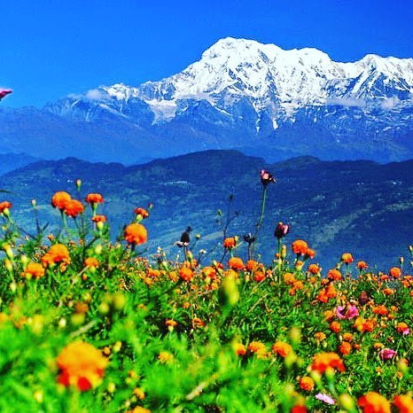 nepaltrekking: The Himalayan Smile treks &amp; adventure is experienced, reliable and service or