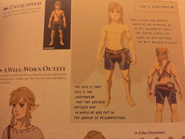 Untitled on Tumblr: In BotW, Link's underwear was supposed to be