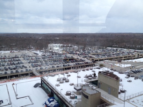 View from the 8th floor bridge at the Stony Brook Health Sciences building (Not pictured: the hideou