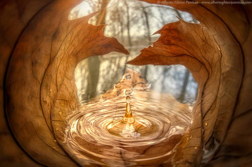 Winter droplet in the small lake by Alberto Ghizzi Panizza