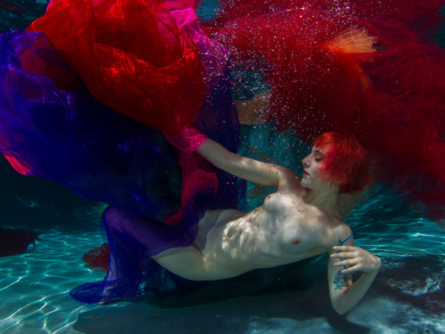 openbooks:The best part about this heat wave in Los Angeles is hitting backyard pools with friends! 