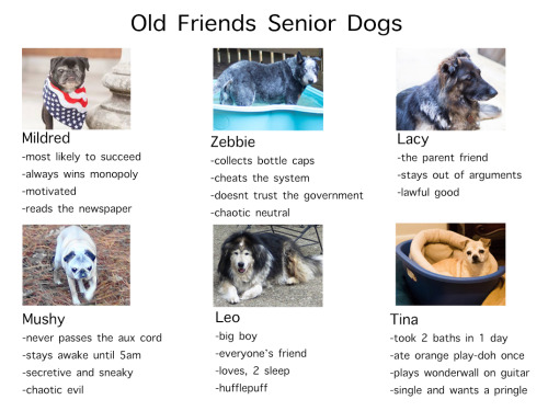 goldfishlock:Tag yourself as an Old Friend I’m Leo