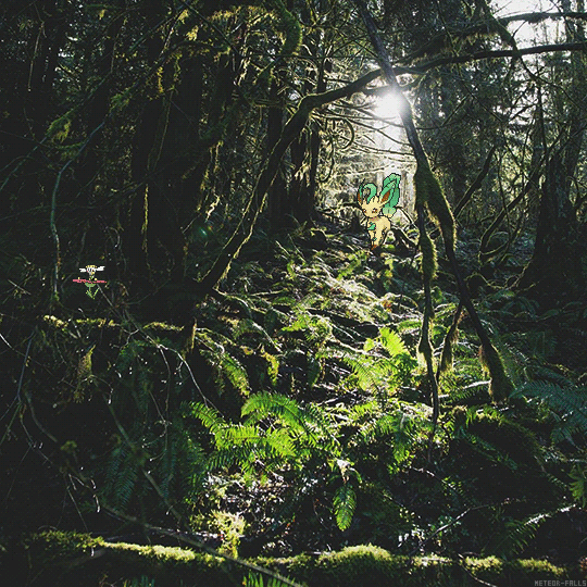 meteor-falls:  Leafeon &amp; Flabebe on Parterre Way // Kalos Regionrequested