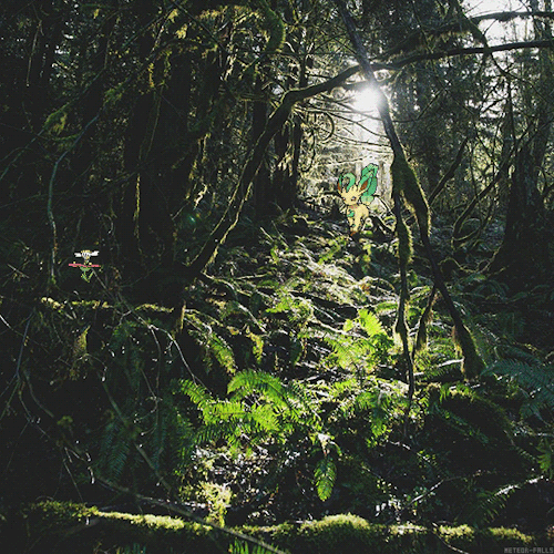meteor-falls:  Leafeon & Flabebe on Parterre Way // Kalos Regionrequested by  irrelevant-ellephants   