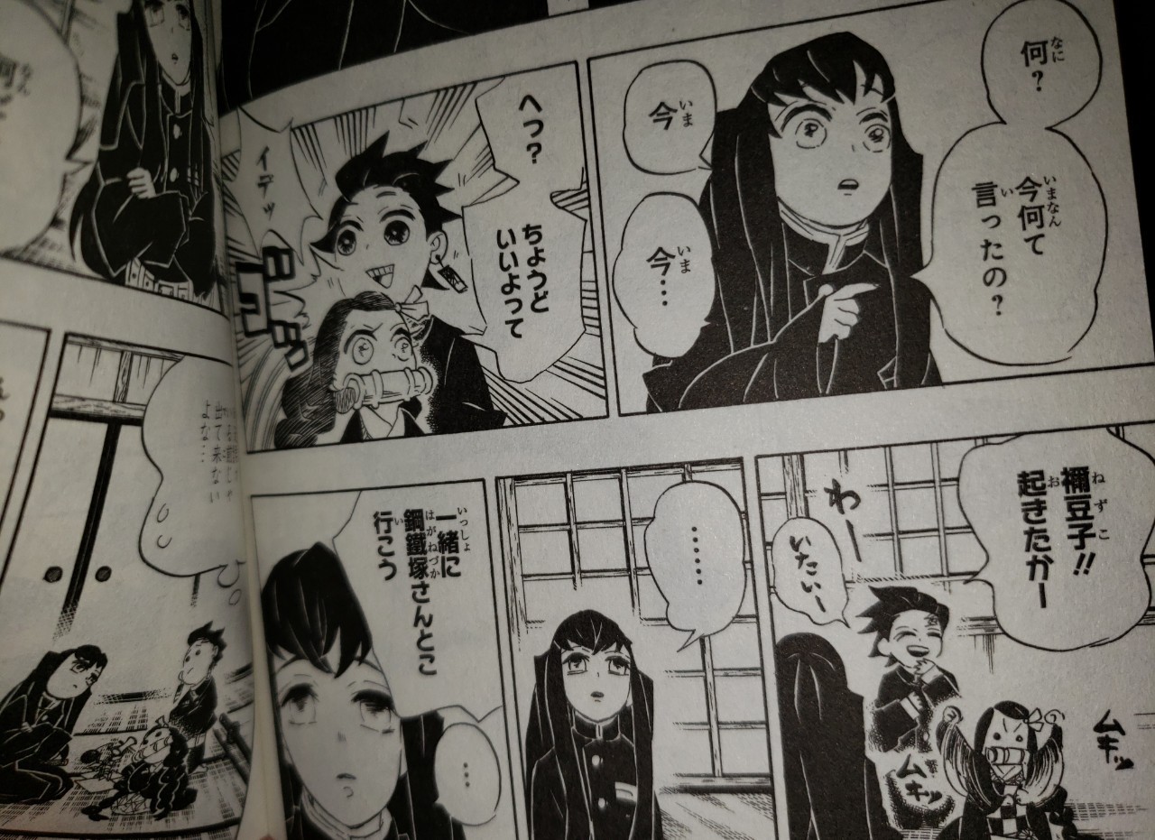 Never forget what Tomioka did for Tanjiro and Nezuko : r