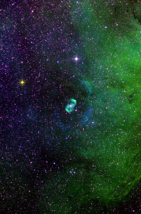 thedemon-hauntedworld: Bipolar Emission Nebula NGC 6164 Credit: Joseph Brimacombe