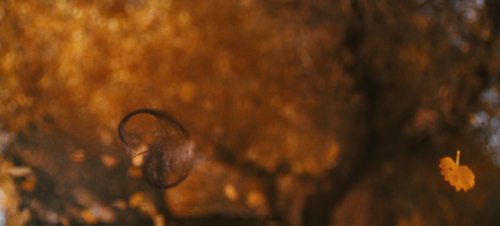 perfectframes: HERO / 2002 / ZHANG YIMOU